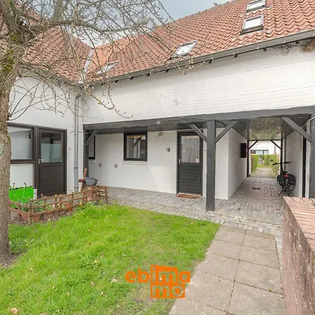 Aalscholver 17 نيوبورت