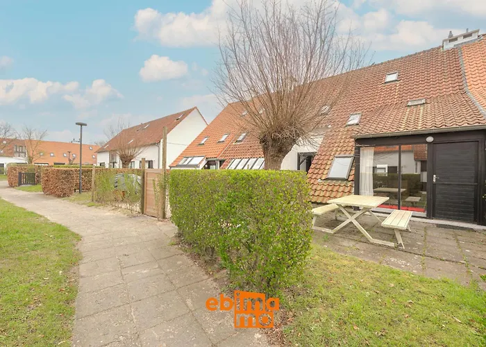 Aalscholver 17 * نيوبورت