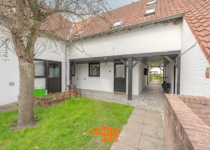 Aalscholver 17 نيوبورت